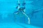 Bild028