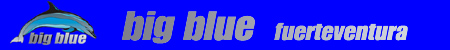 Tauchschule BigBlue auf Fuerteventura